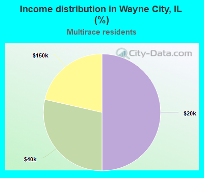 Income distribution in Wayne City, IL (%)
