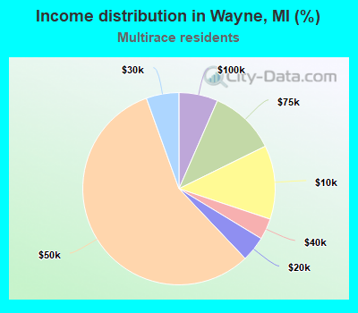 Income distribution in Wayne, MI (%)