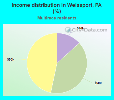 Income distribution in Weissport, PA (%)