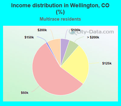 Income distribution in Wellington, CO (%)