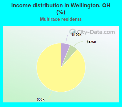 Income distribution in Wellington, OH (%)