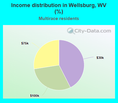 Income distribution in Wellsburg, WV (%)