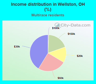 Income distribution in Wellston, OH (%)