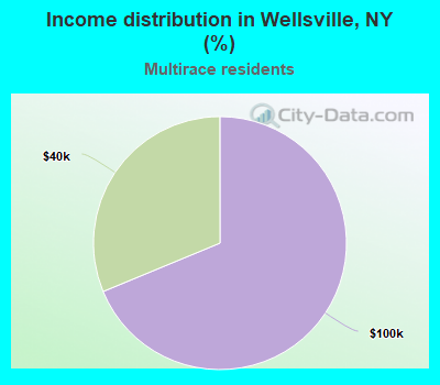 Income distribution in Wellsville, NY (%)