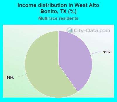 Income distribution in West Alto Bonito, TX (%)