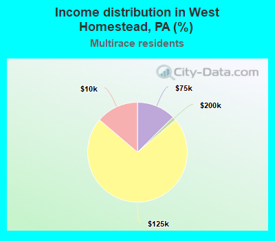 Income distribution in West Homestead, PA (%)