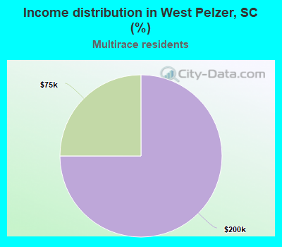 Income distribution in West Pelzer, SC (%)