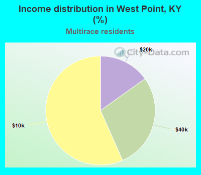 Income distribution in West Point, KY (%)