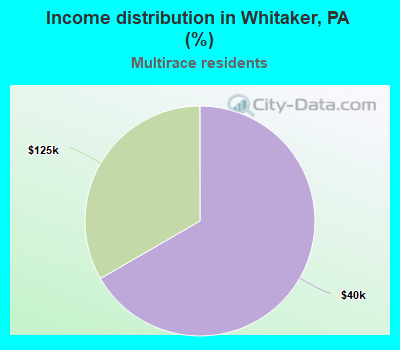 Income distribution in Whitaker, PA (%)