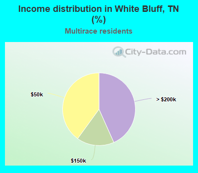 Income distribution in White Bluff, TN (%)