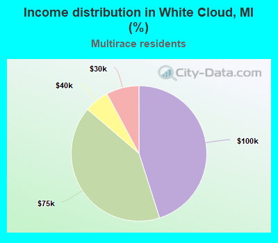 Income distribution in White Cloud, MI (%)