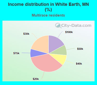 Income distribution in White Earth, MN (%)