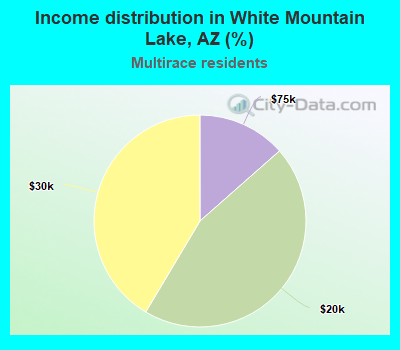 Income distribution in White Mountain Lake, AZ (%)
