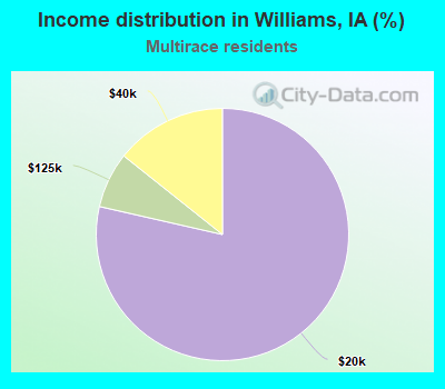 Income distribution in Williams, IA (%)