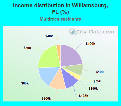 Income distribution in Williamsburg, FL (%)