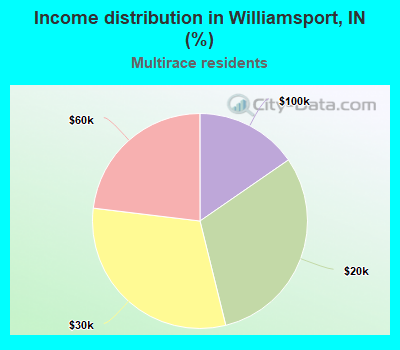 Income distribution in Williamsport, IN (%)