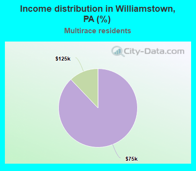 Income distribution in Williamstown, PA (%)