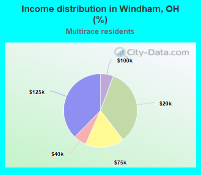 Income distribution in Windham, OH (%)