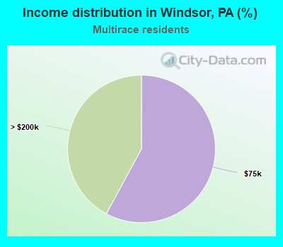 Income distribution in Windsor, PA (%)