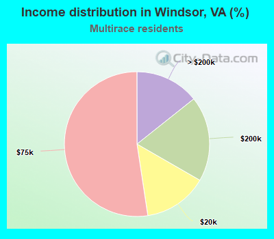 Income distribution in Windsor, VA (%)