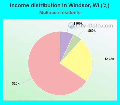 Income distribution in Windsor, WI (%)