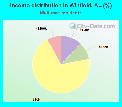 Income distribution in Winfield, AL (%)