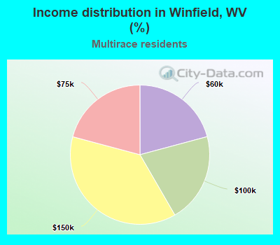 Income distribution in Winfield, WV (%)