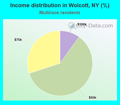 Income distribution in Wolcott, NY (%)