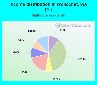 Income distribution in Wollochet, WA (%)