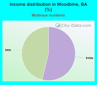 Income distribution in Woodbine, GA (%)