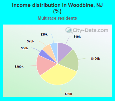 Income distribution in Woodbine, NJ (%)