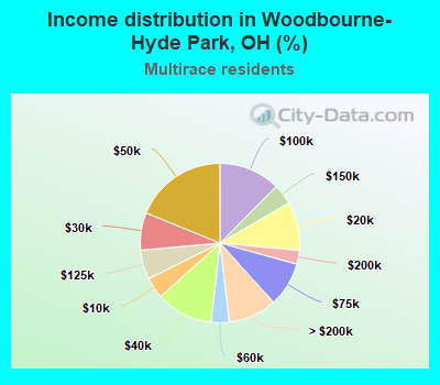 Income distribution in Woodbourne-Hyde Park, OH (%)