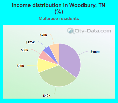Income distribution in Woodbury, TN (%)