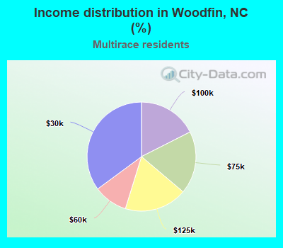 Income distribution in Woodfin, NC (%)