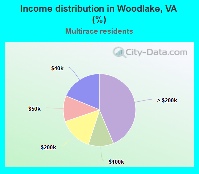 Income distribution in Woodlake, VA (%)