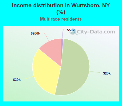 Income distribution in Wurtsboro, NY (%)