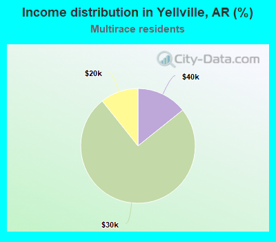 Income distribution in Yellville, AR (%)
