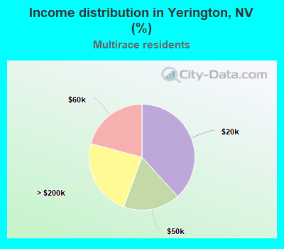 Income distribution in Yerington, NV (%)