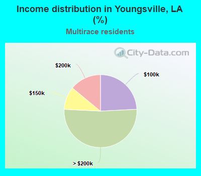 Income distribution in Youngsville, LA (%)