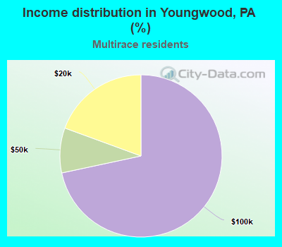 Income distribution in Youngwood, PA (%)
