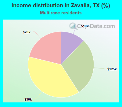 Income distribution in Zavalla, TX (%)