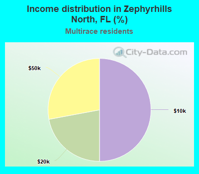 Income distribution in Zephyrhills North, FL (%)