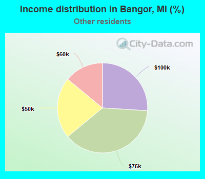 Income distribution in Bangor, MI (%)