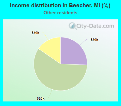 Income distribution in Beecher, MI (%)