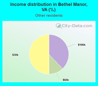 Income distribution in Bethel Manor, VA (%)