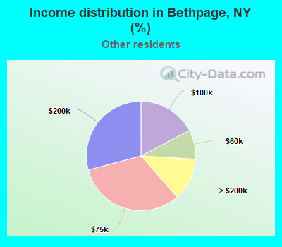 Income distribution in Bethpage, NY (%)