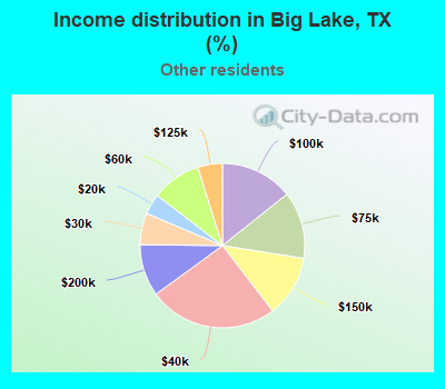 Income distribution in Big Lake, TX (%)