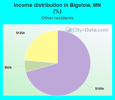 Income distribution in Bigelow, MN (%)