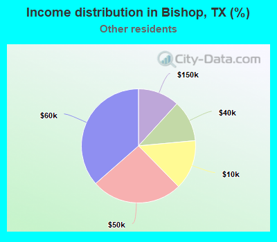 Income distribution in Bishop, TX (%)