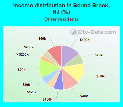 Income distribution in Bound Brook, NJ (%)